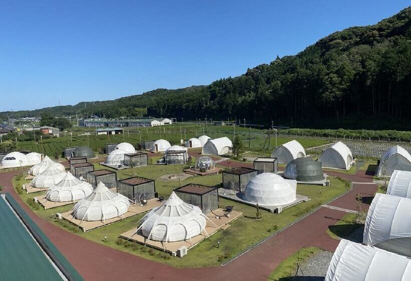 Отель Glamping & Port