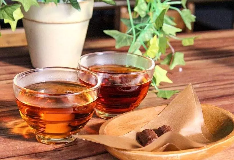 هتل Glamping & Port