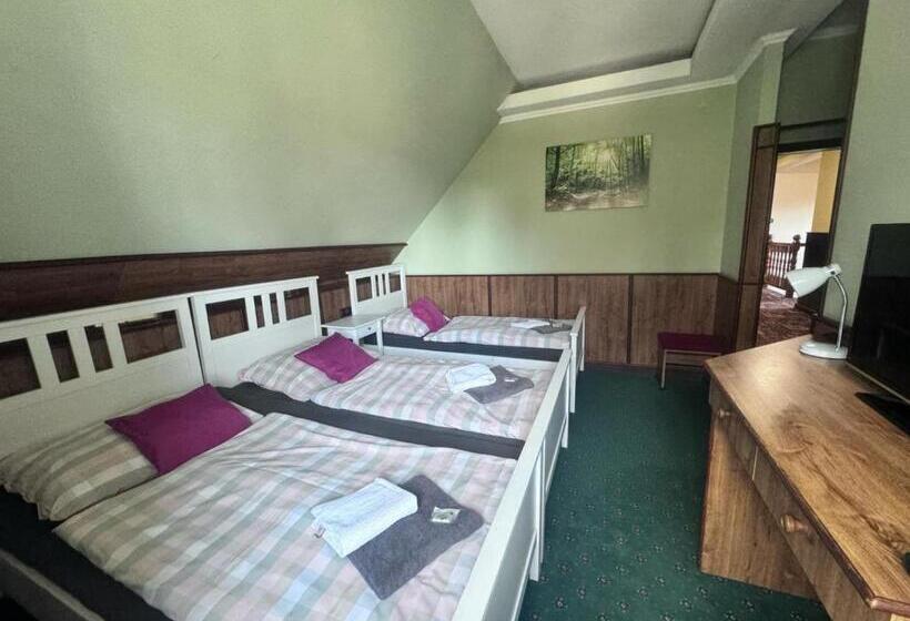 فندق Penzion Landštejnský Dvůr