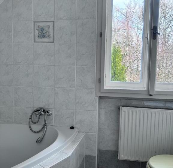 فندق Penzion Landštejnský Dvůr