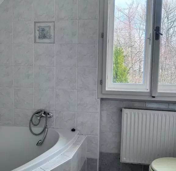 Hotelli Penzion Landštejnský Dvůr