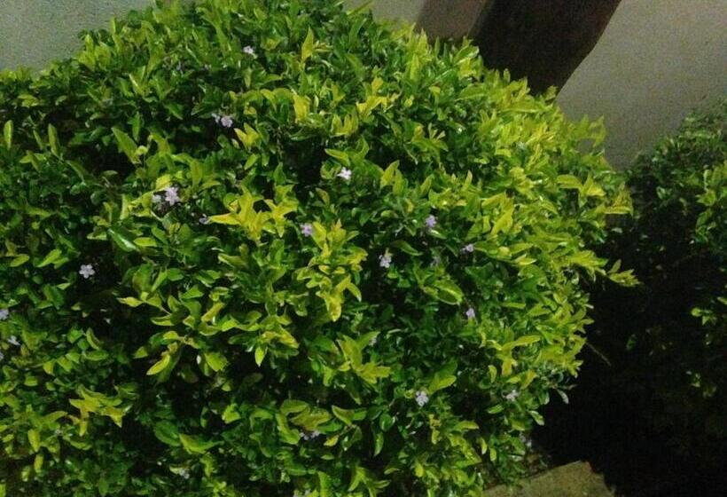 پانسیون Hardrock Guest House