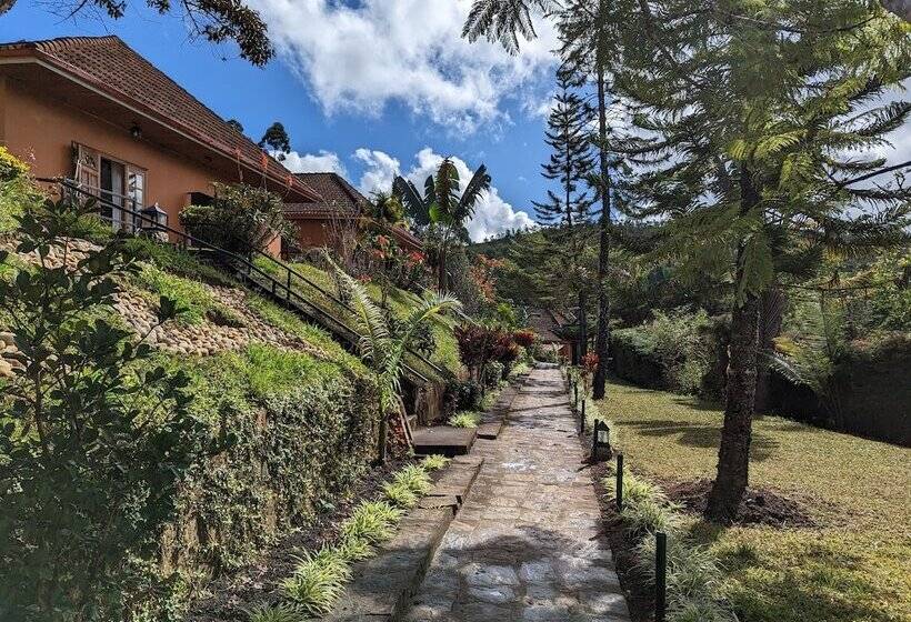 هتل Andasibe Cyperus