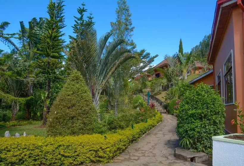 هتل Andasibe Cyperus