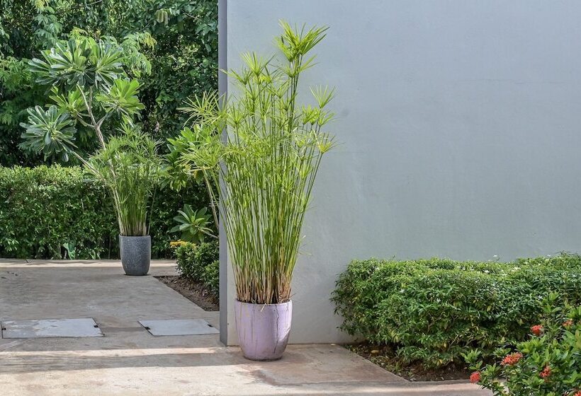 Hotelli Baan Kiengtawan