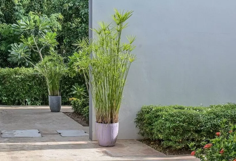 Hotelli Baan Kiengtawan