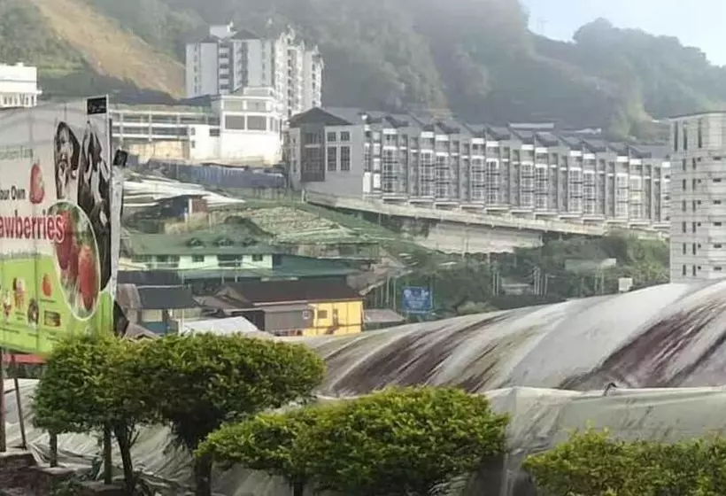 ホテル Cameron Kea Farm