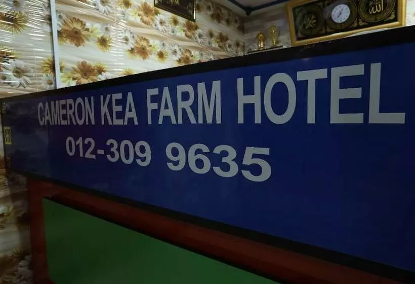 ホテル Cameron Kea Farm