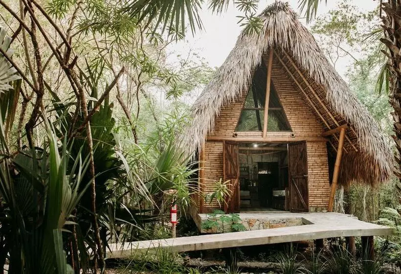 Hotelli Selva Teenek