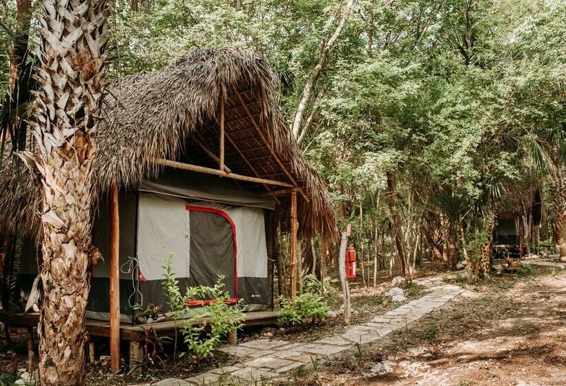 فندق Selva Teenek