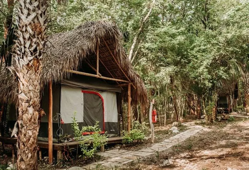 Hotelli Selva Teenek