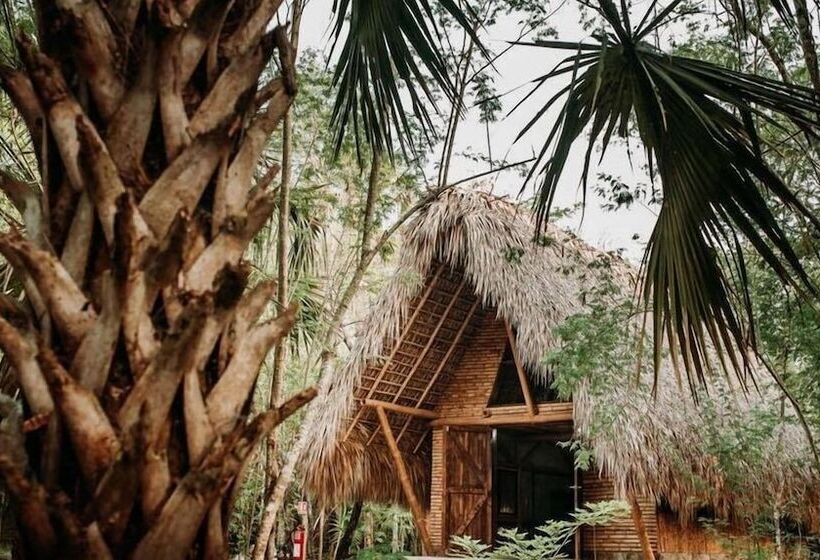 فندق Selva Teenek