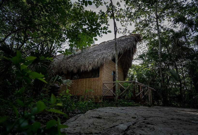 فندق Selva Teenek