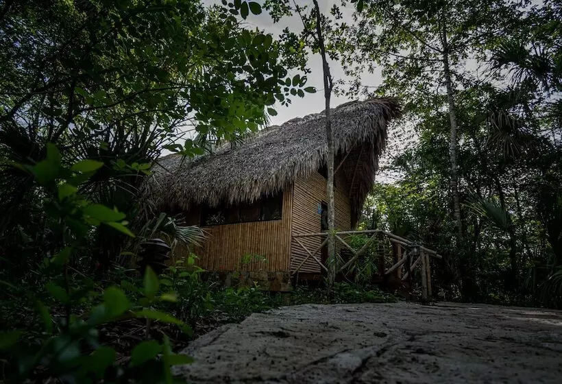 Hotelli Selva Teenek