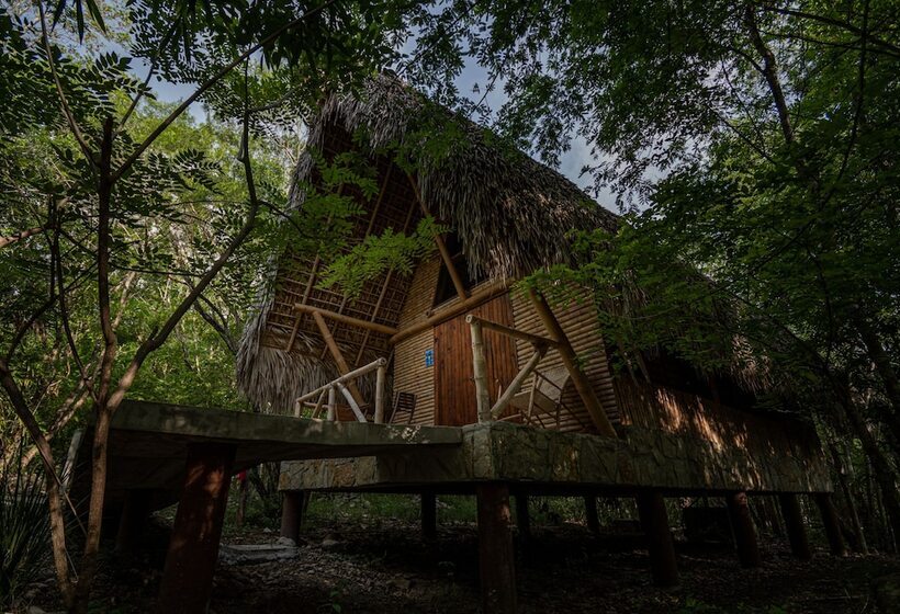 فندق Selva Teenek