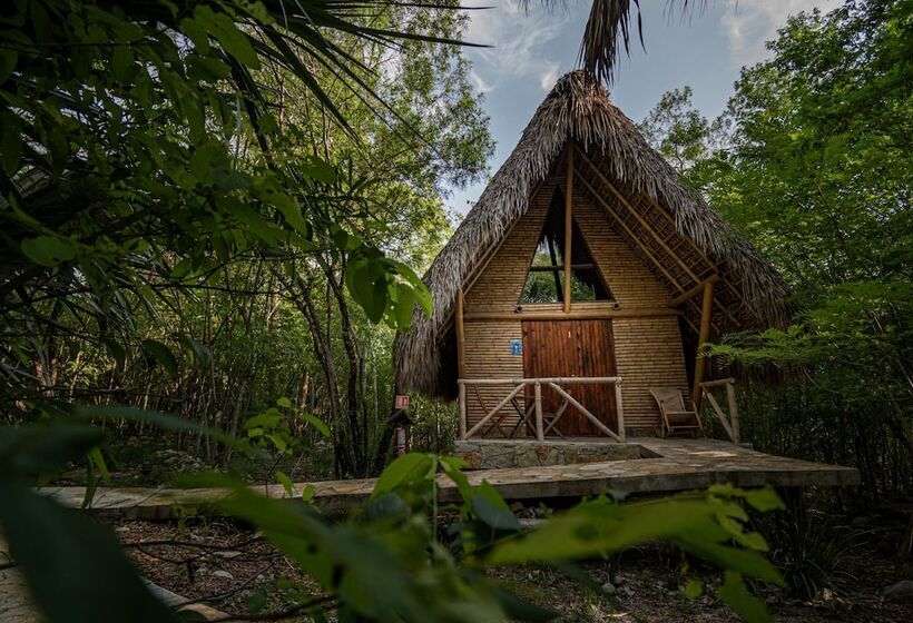 فندق Selva Teenek