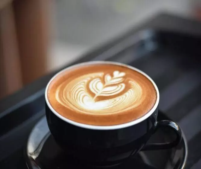 Roomshala 088 Hotel Green Villa