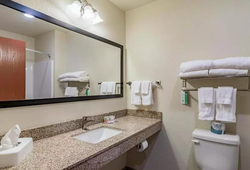 Hotelli Cobblestone Inn & Suites   Winters