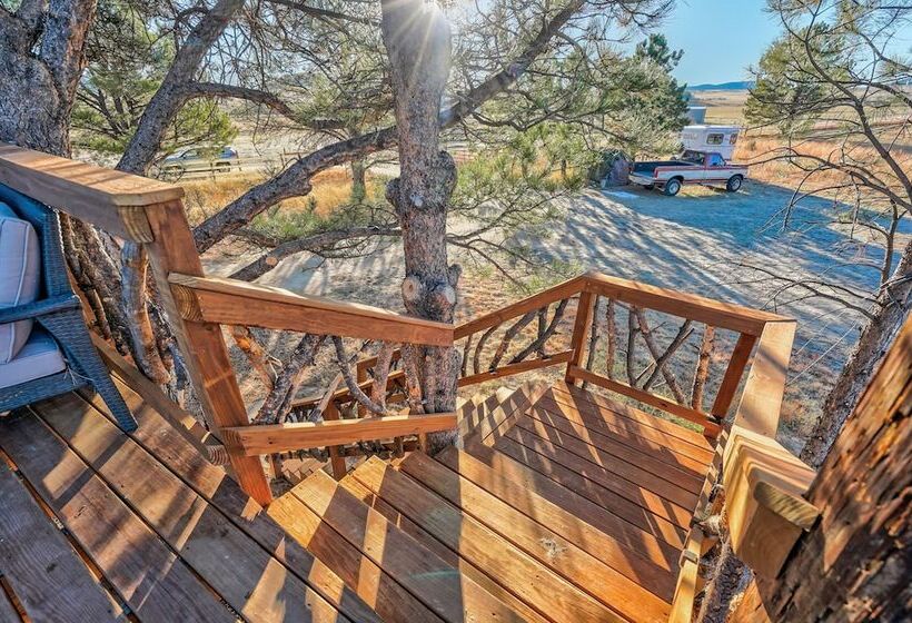 فندق Tree Deer Blind