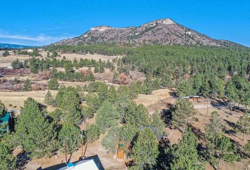 فندق Tree Deer Blind