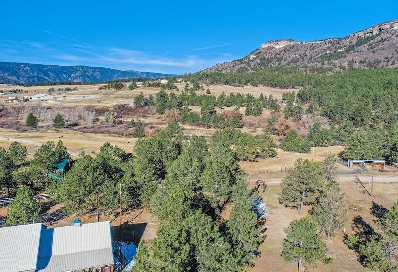 فندق Tree Deer Blind