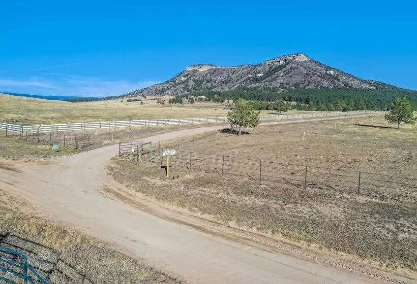 Hotelli Tree Deer Blind