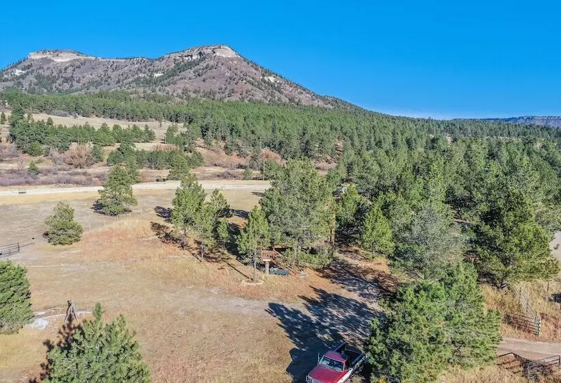 Hotelli Tree Deer Blind