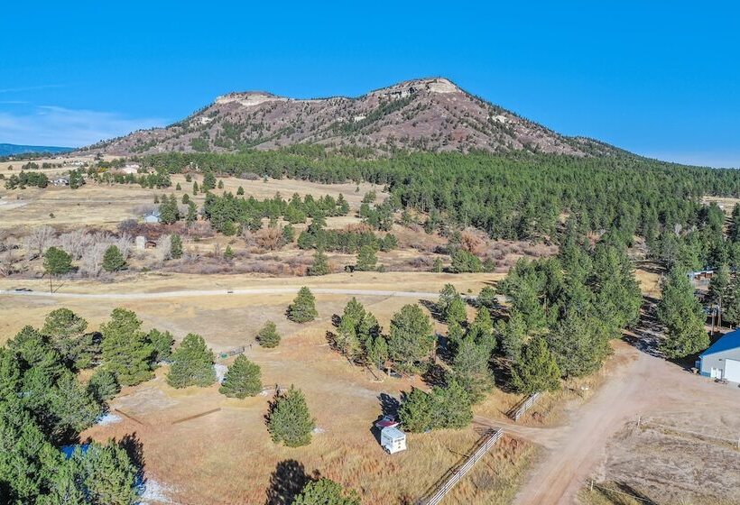 فندق Tree Deer Blind