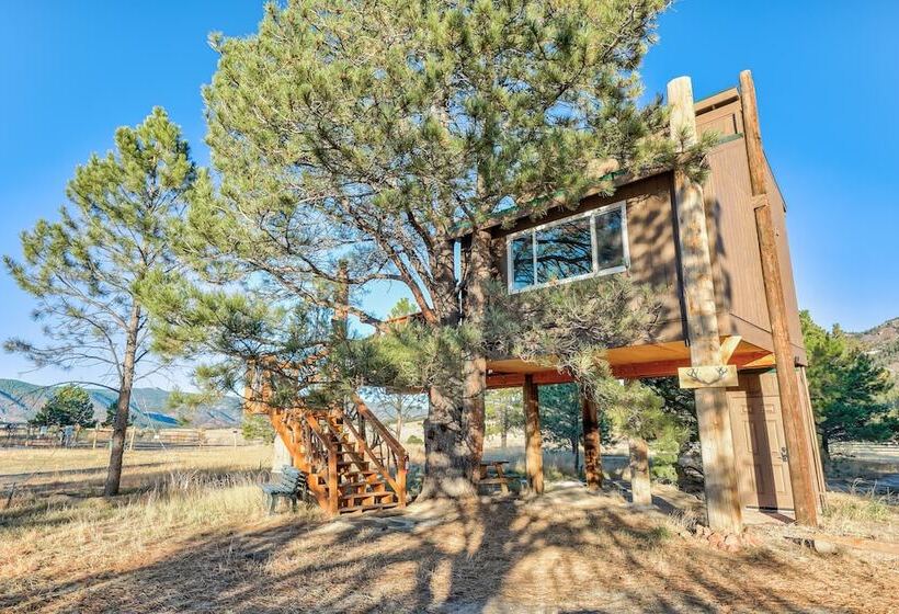 فندق Tree Deer Blind