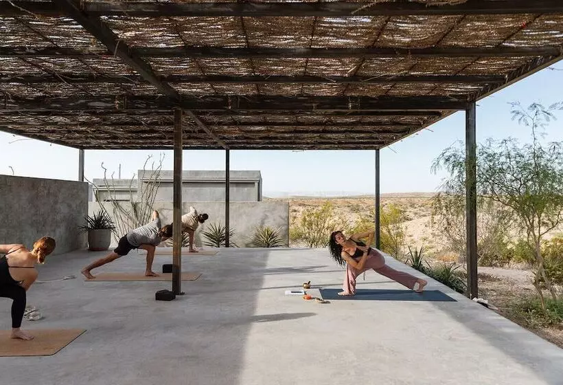 ホテル Willow House