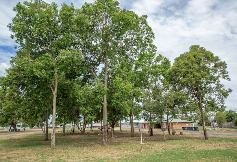 Курорт Coonamble Riverside Caravan Park