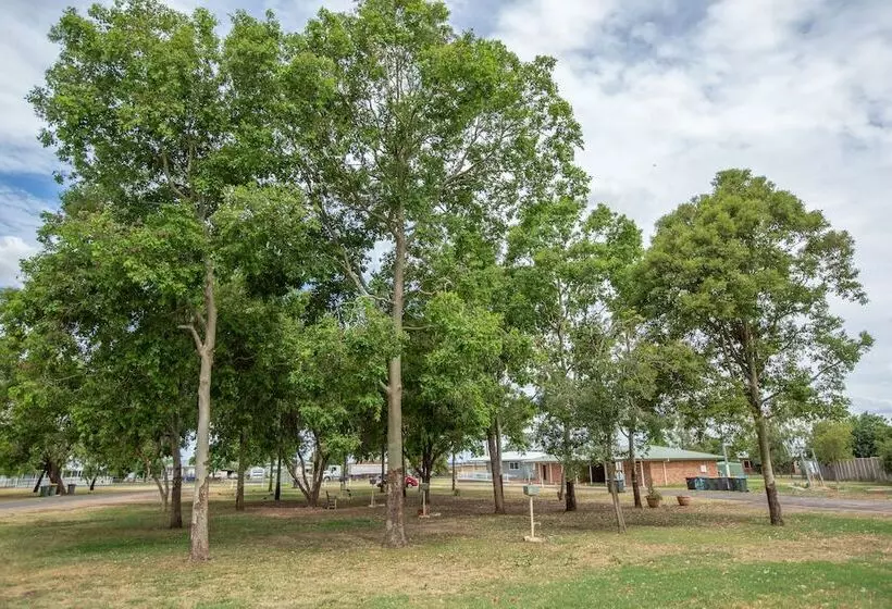 リゾートホテル Coonamble Riverside Caravan Park