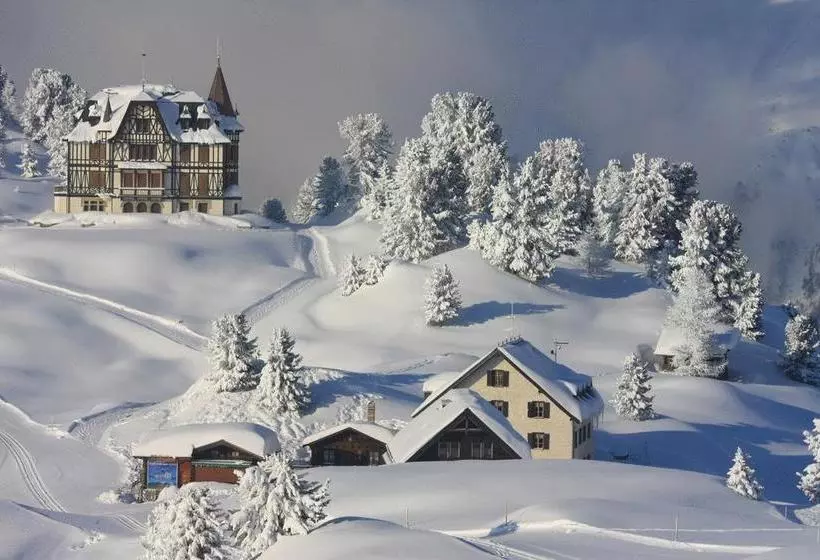 Berghotel Riederfurka