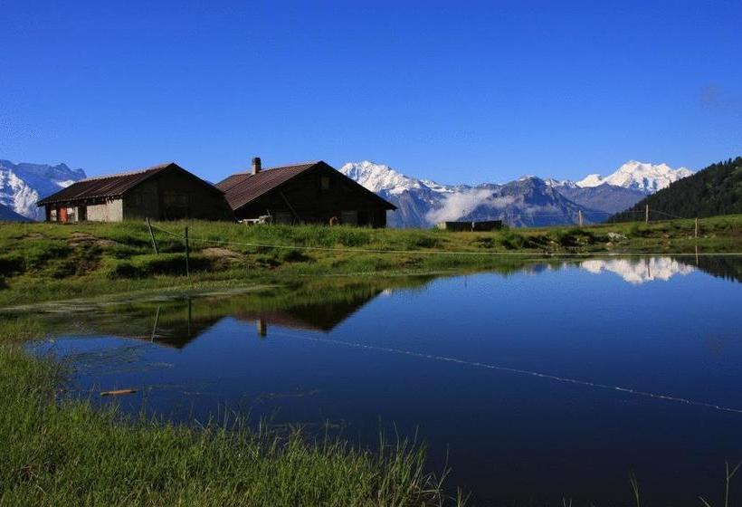 Berghotel Riederfurka