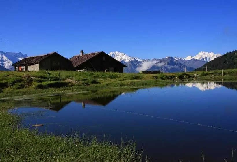 Berghotel Riederfurka