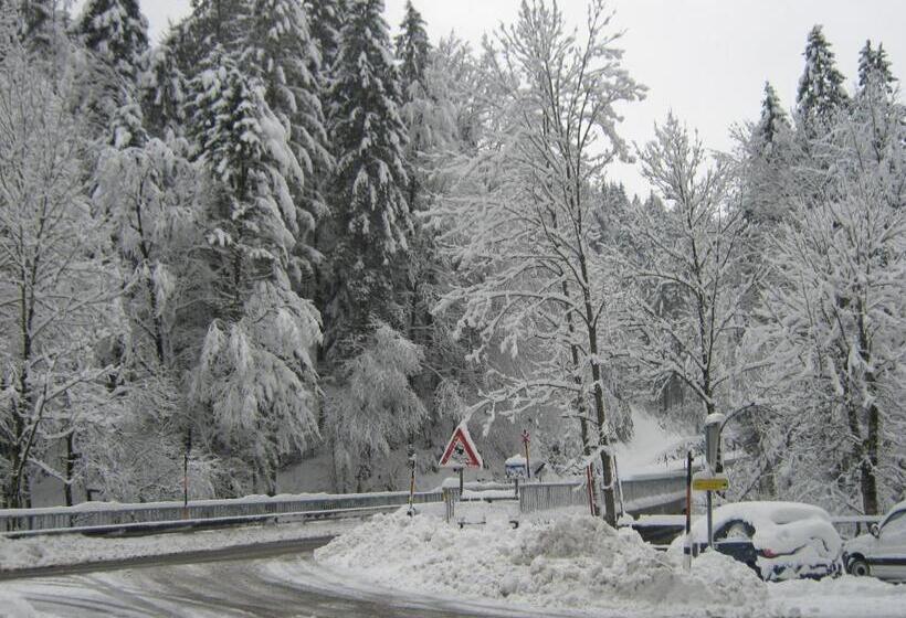 Отель 2 Sterne Gasthof Pension Kienklause Kein Wifi Wlan Keinen Handyempfang