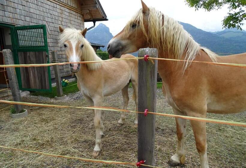 فندق Altroiterhof