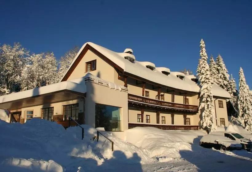 Hotel Bödele Alpen