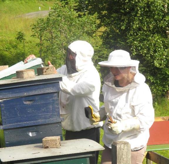 호텔 Pension Mitterer