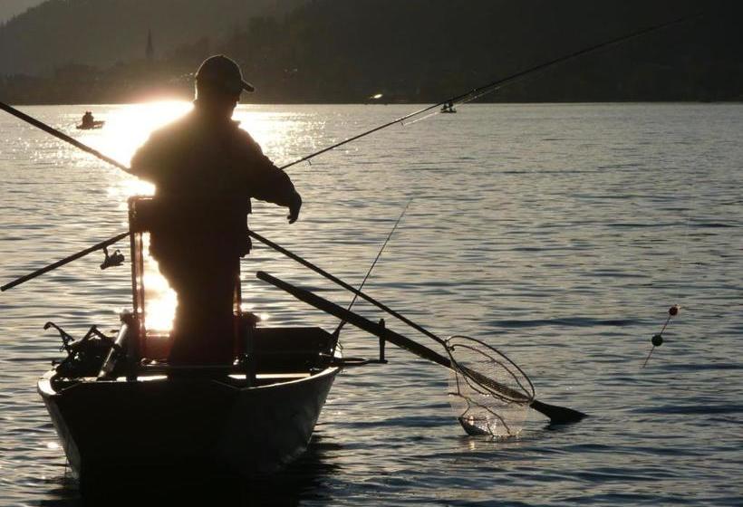 호텔 Pension Mitterer