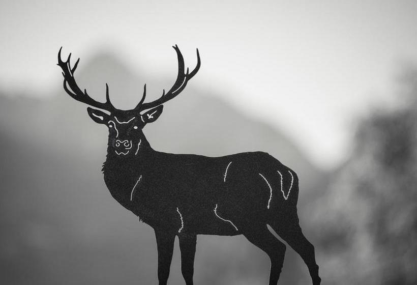 호텔 Ferienwohnungen Aschenwald Elisabeth