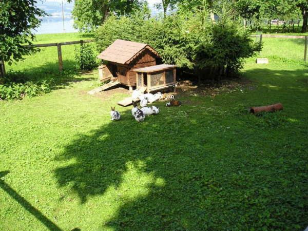 호텔 Gasthaus Schöberingerhof