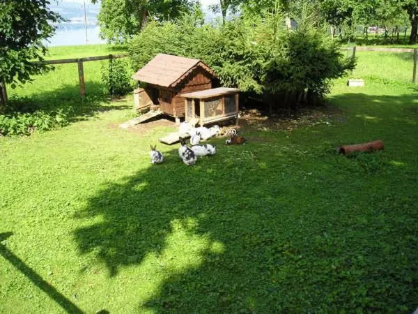 ホテル Gasthaus Schöberingerhof