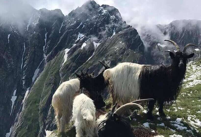 Отель Hamilton Lodge & Spa