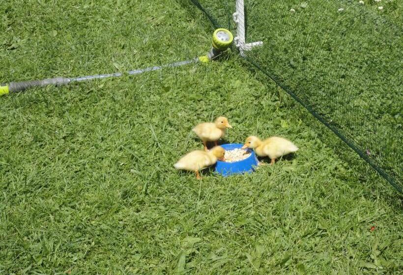 호텔 Haus Dorfblick