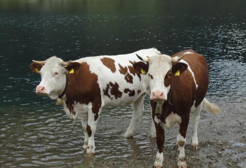 호텔 Haus Dorfblick