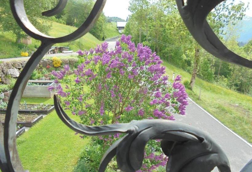 ホテル Haus Nussbaumer