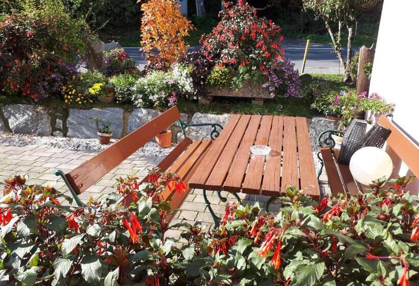 호텔 Pension Mitterer