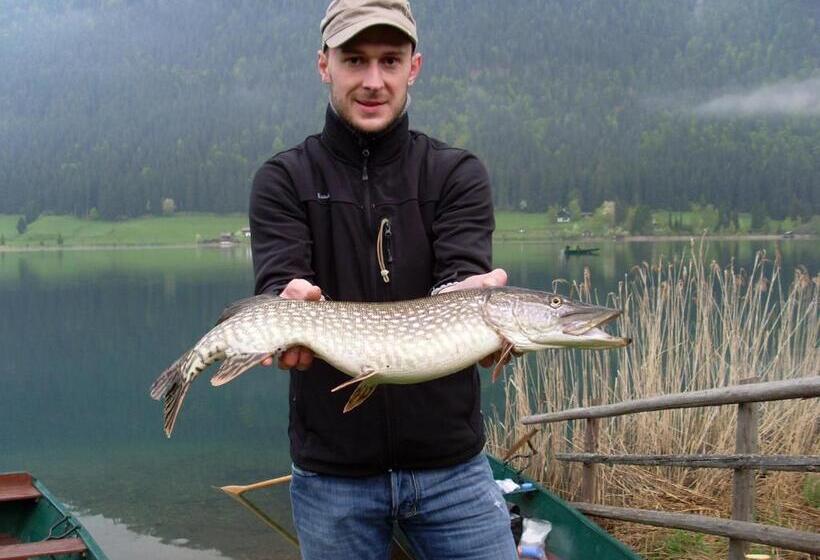 호텔 Pension Mitterer