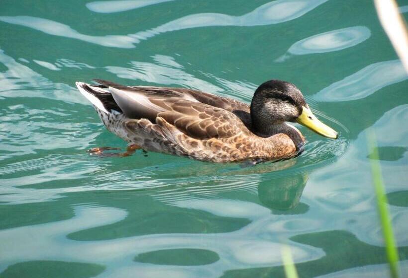 호텔 Pension Mitterer